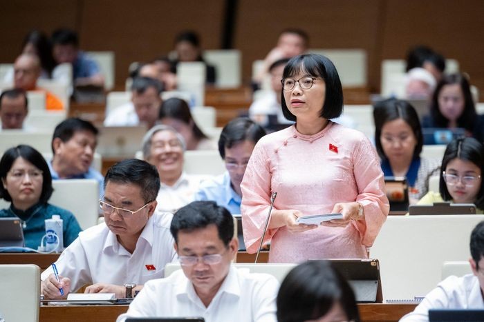 Đại biểu Nguyễn Thị Việt Nga (đoàn Hải Dương)