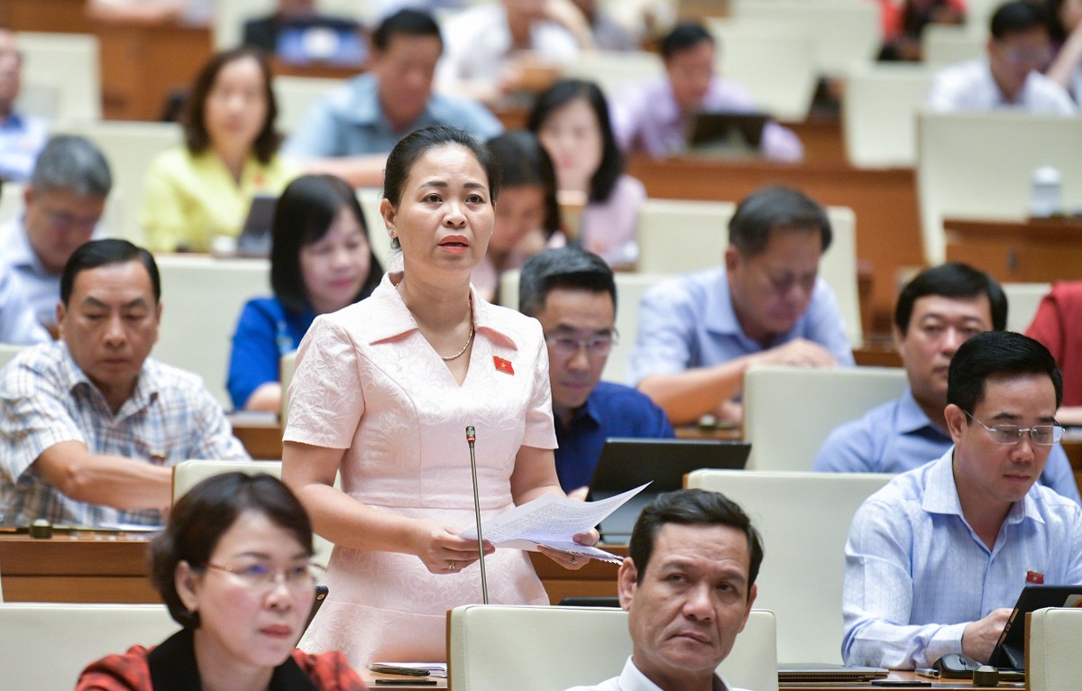 Đại biểu Nguyễn Thị Thu Dung (Đoàn Thái Bình)