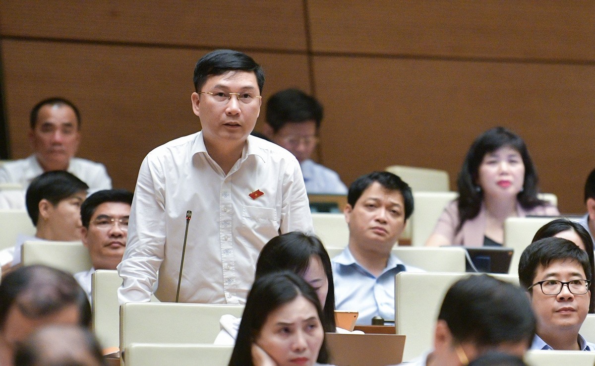 Đại biểu Lê Hoàng Anh (đoàn Gia Lai)