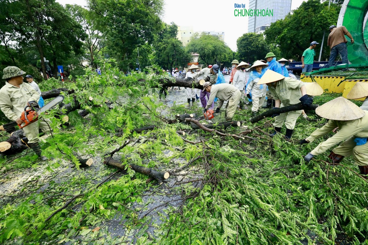 Công nhân vệ sinh môi trường khẩn trương thu dọn cây đổ