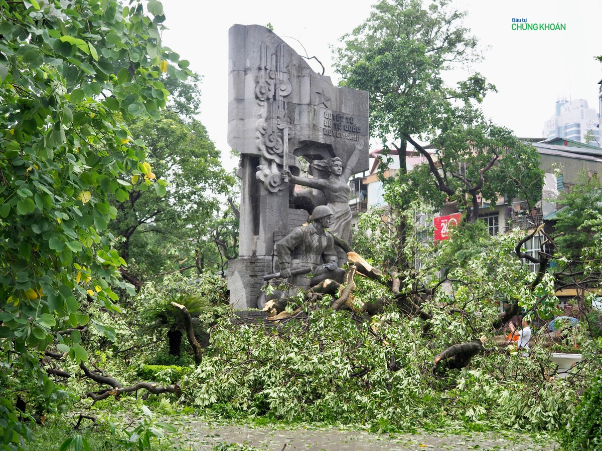 Cành cây hoa sữa gãy la liệt, phủ kín khuôn viên vườn hoa Hàng Đậu