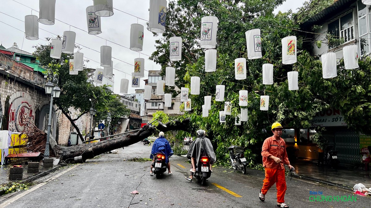 Cây đổ ngang trên phố Phùng Hưng, nhân viên điện lực đang ứng trực sự cố để đảm bảo an toàn cho người dân