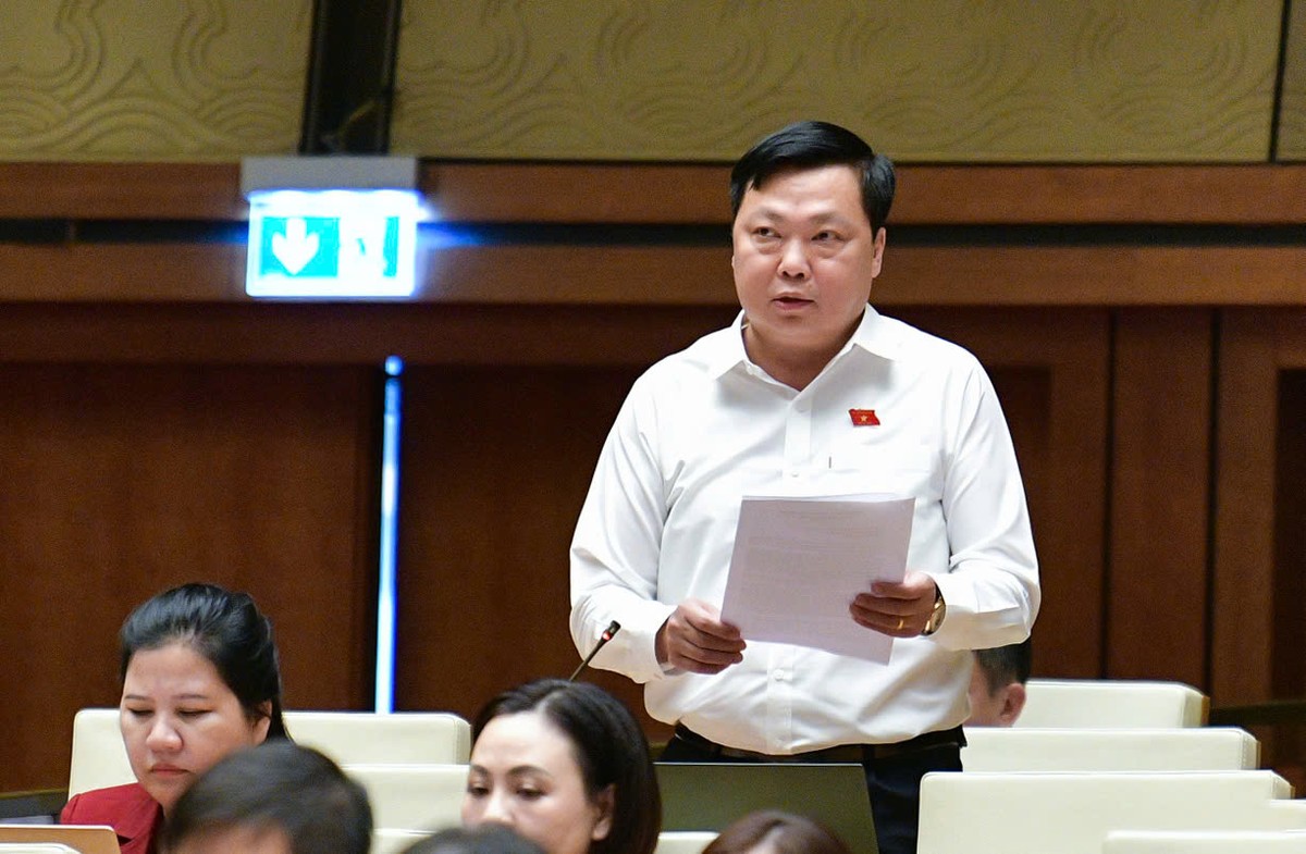 Đại biểu Phạm Hùng Thắng (đoàn Hà Nam)