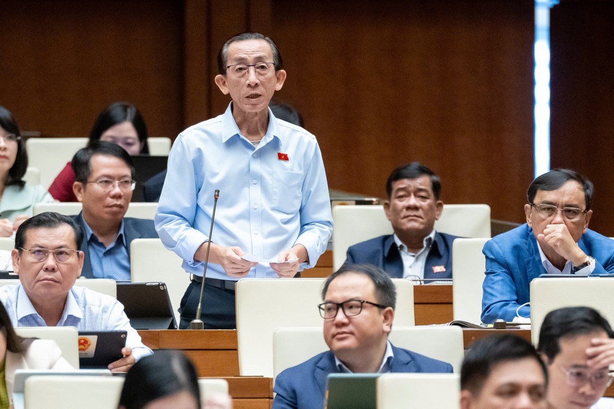 Đại biểu Trần Hoàng Ngân (đoàn TP Hồ Chí Minh)