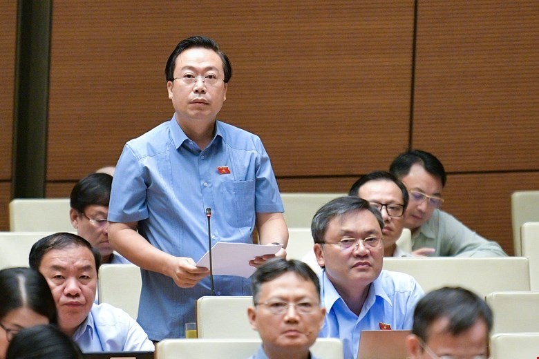 Đại biểu Nguyễn Đại Thắng (đoàn Hưng Yên)