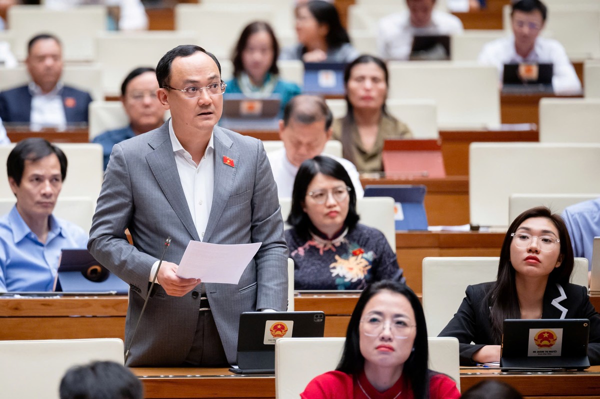 Đại biểu Nguyễn Ngọc Sơn