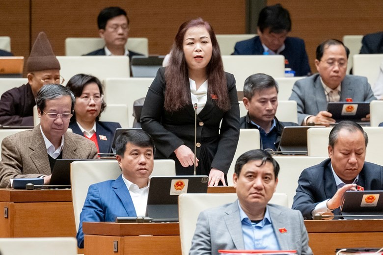 Đại biểu Vũ Thị Lưu Mai (đoàn Hà Nội)