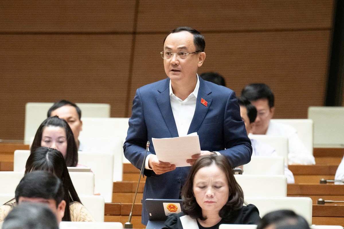 Đại biểu Nguyễn Ngọc Sơn (đoàn Hải Dương)