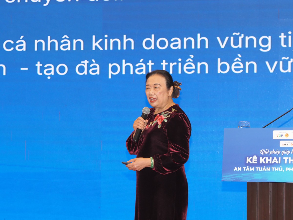 Chủ tịch Hội Tư vấn Thuế Việt Nam (VTCA), bà Nguyễn Thị Cúc khẳng định chính sách thuế mới không làm tăng mức thu - Ảnh: M. Minh