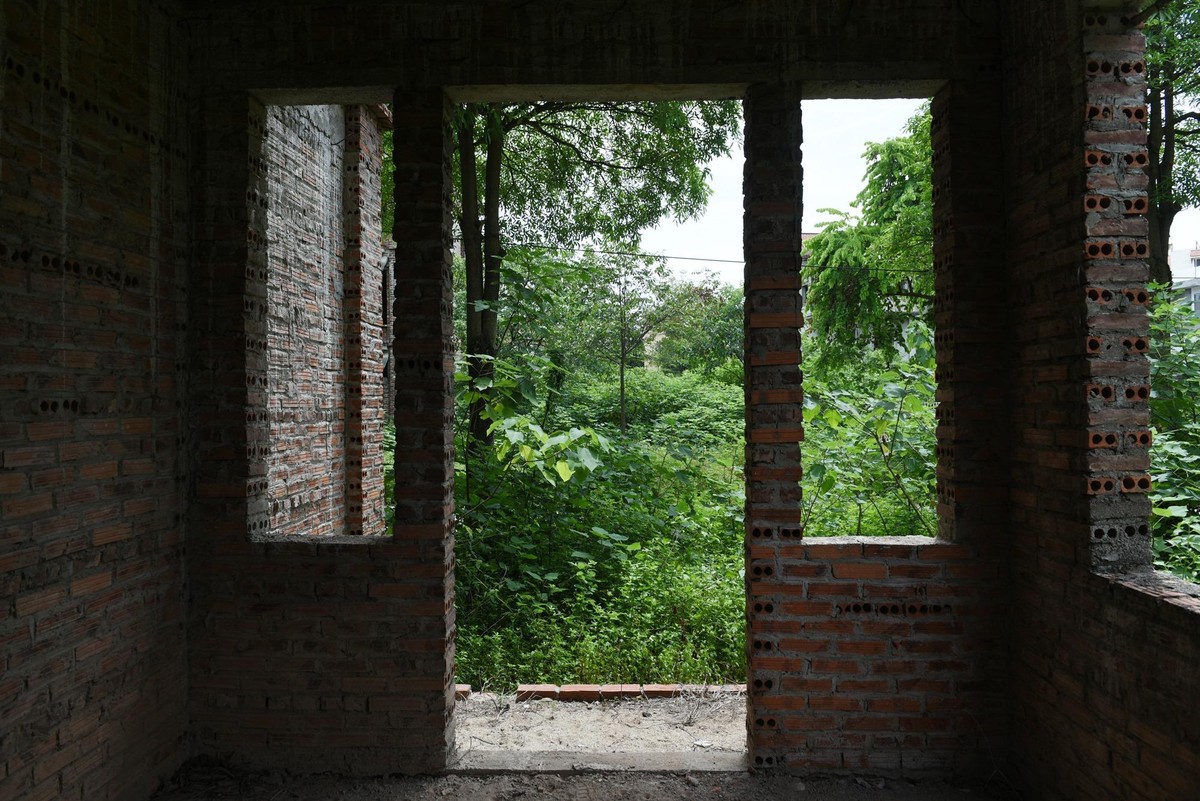 View xanh mướt từ một căn biệt thự bỏ không.