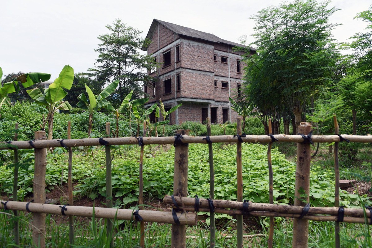 Khu đô thị Hà Phong là một trong những khu đô thị đầu tiên được triển khai xây dựng từ năm 2004 tại huyện Mê Linh, với tổng vốn Kl99ok phiên bản mới 900 tỷ đồng, do Công ty cổ phần Hà Phong làm chủ Kl99ok phiên bản mới, dự kiến hoàn thành vào năm 2014 nhưng đến nay vẫn chưa triển khai xong. Đất của một biệt thự bỏ không được tận dụng làm vườn tại khu đô thị Hà Phong.