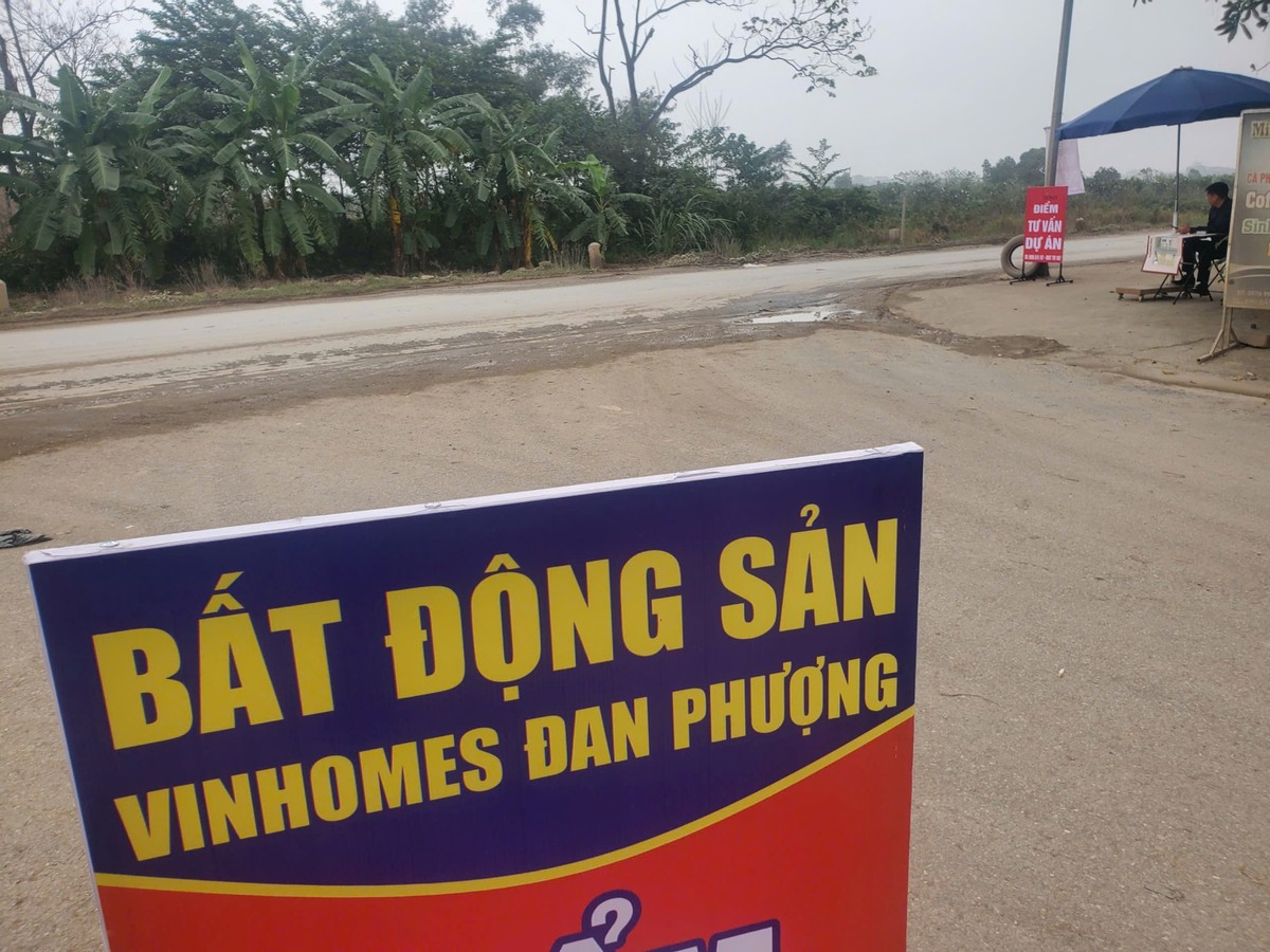 Môi giới tên Tuần cho biết: "Dự án bắt đầu nhận booking, giá khảo sát thị trường khoảng từ 250 triệu đồng/m2".