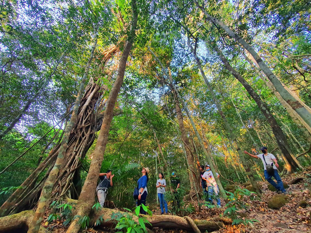 Anh Vỵ, hướng dẫn viên dẫn tour khám phá rừng luôn nhắc nhở du khách về ý thức bảo vệ rừng.