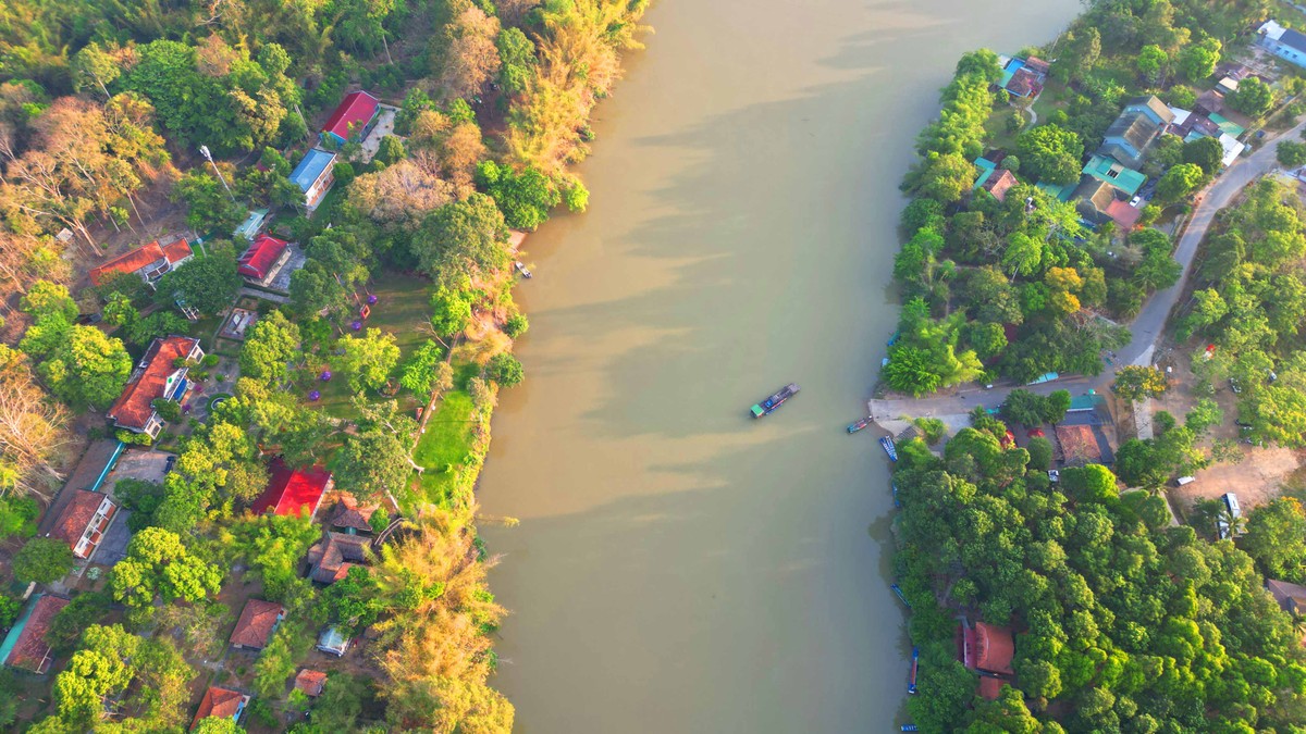 Du khách sẽ di chuyển bằng phà vào trong rừng.