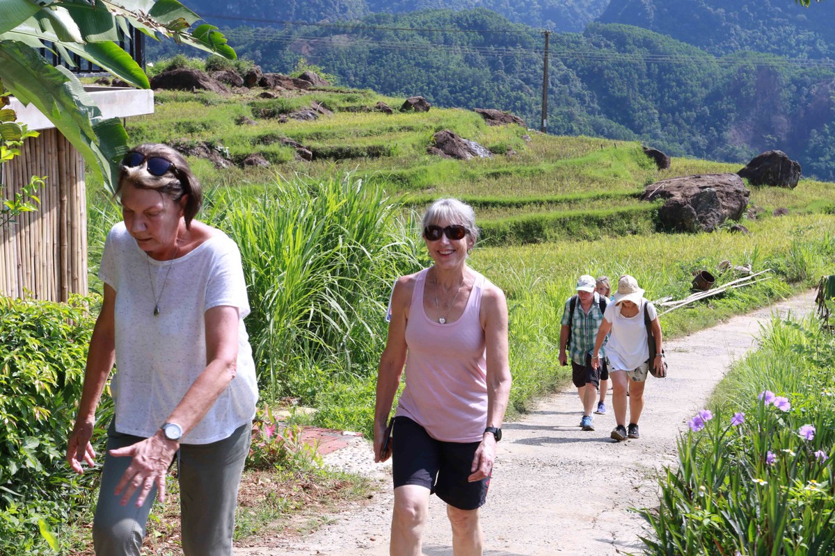 Không chỉ du khách trong nước, mà du khách nước ngoài cũng thích thú khám phá những ruộng lúa bậc thang nơi đây.