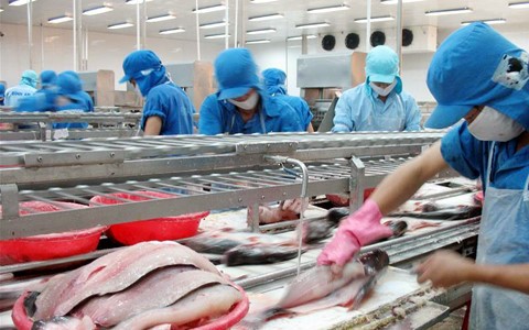 Vĩnh Hoàn (VHC): Xuất khẩu tháng 10 đạt mức cao kỷ lục hơn 700 tỷ đồng ảnh 1