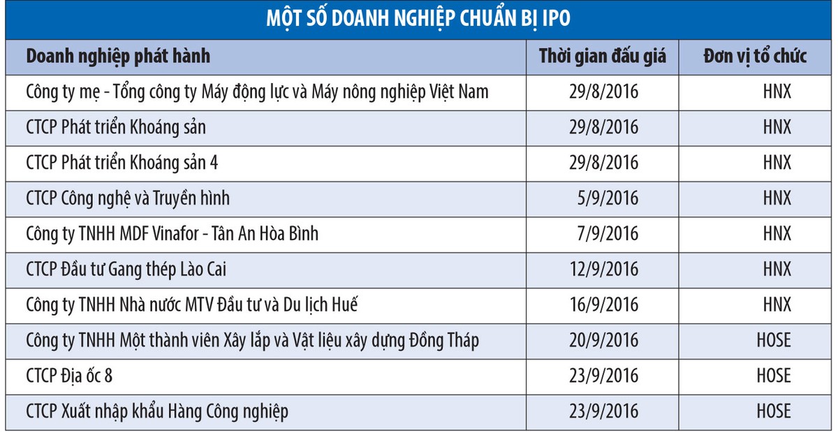 Muốn có Trang Chủ KL99Com Số 1 Link Đăng Ký KL999 chiến lược, Kl991.com World Cup 2026 Chính Thức 99Kl99 trực tiếp đá gà nên bán tối thiểu 49% ảnh 2