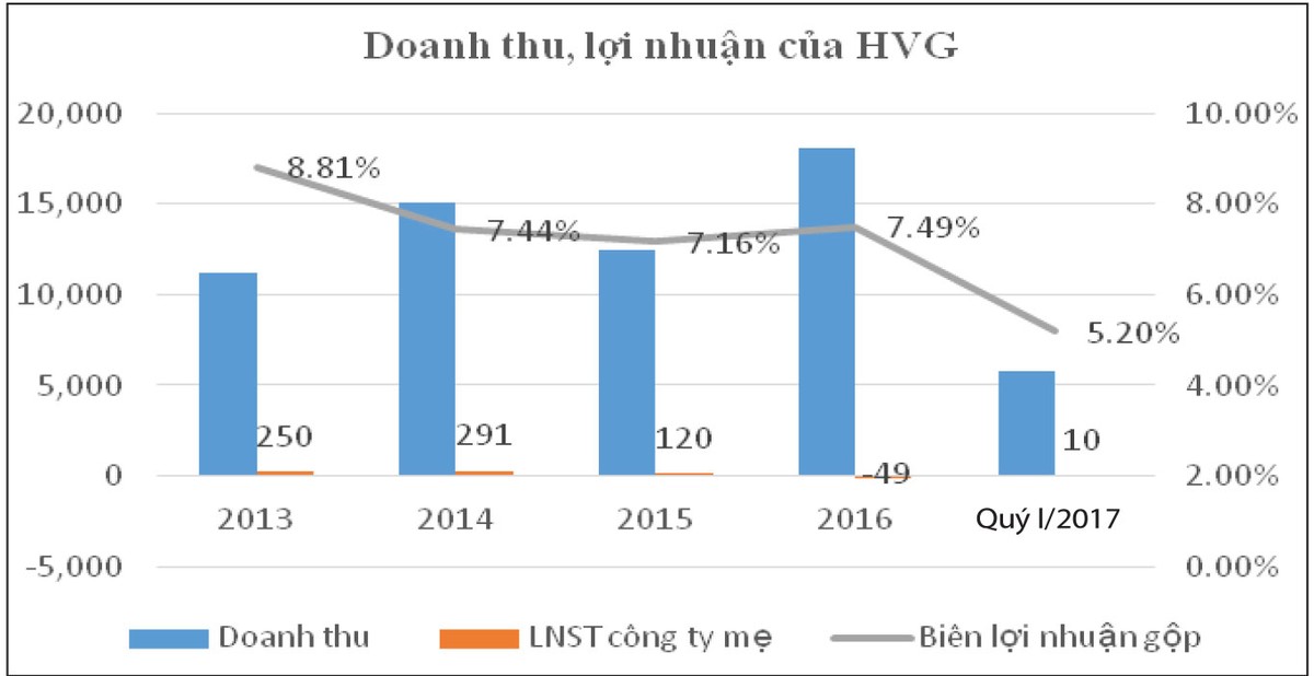 Rơi khỏi Quỹ FTSE ETF, chông chênh tương lai HVG ảnh 1