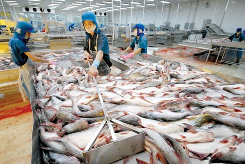 VASEP kiến nghị bãi bỏ yêu cầu thực phẩm phải sử dụng muối tăng cường i-ốt ảnh 1