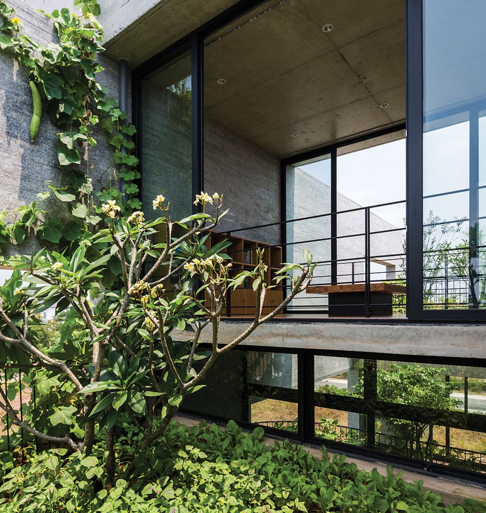 Binh House, ​căn nhà xanh của nhà thiết kế Võ Trọng Nghĩa ảnh 1