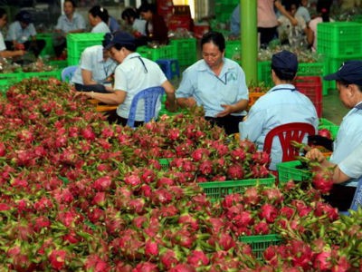Giải cứu nông sản, Bộ trưởng Nông nghiệp sẽ nói gì? ảnh 1
