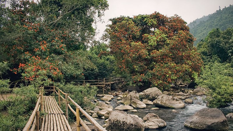 Suối Moọc Quảng Bình, ​tìm về vẻ đẹp tự nhiên ảnh 4