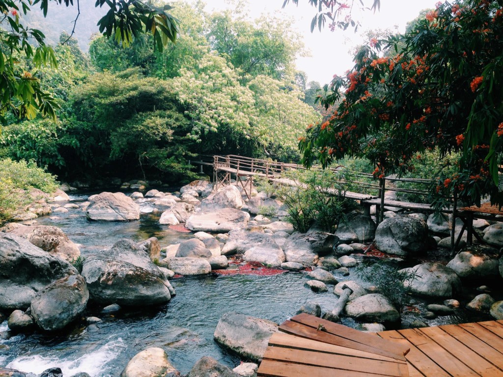 Suối Moọc Quảng Bình, ​tìm về vẻ đẹp tự nhiên ảnh 1