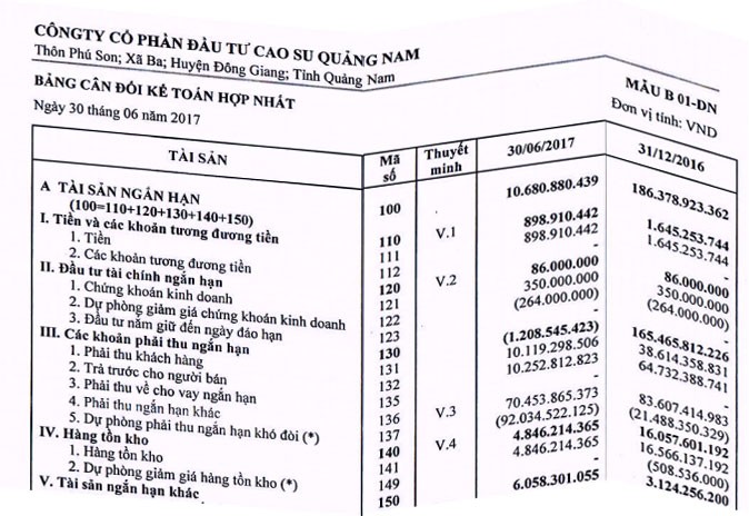 VHG: Bất thường trên báo cáo Kl991.com nạp rút nhanh quý II ảnh 1