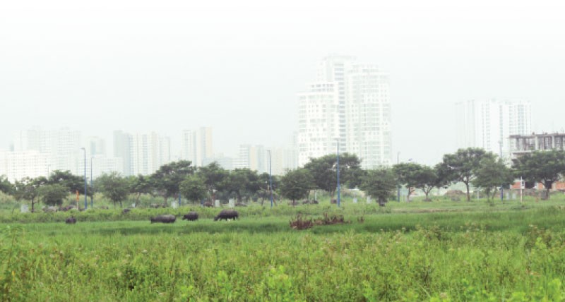 Khi chủ Kl99ok phiên bản mới “xí phần” đất làm dự án rồi để đó ảnh 1