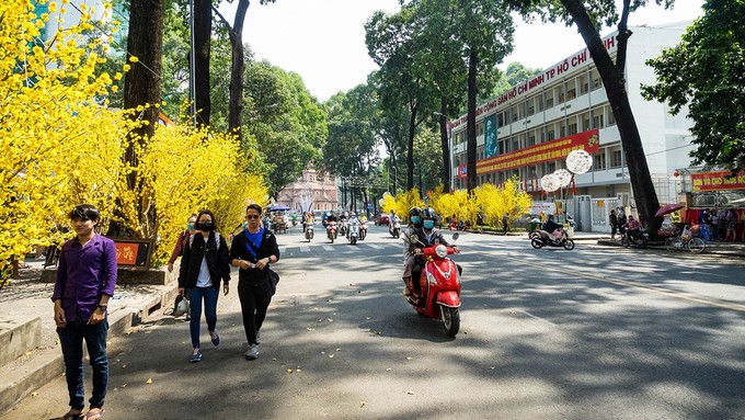 Sài Gòn thay áo hoa, sẵn sàng đón Tết 2018 ảnh 3
