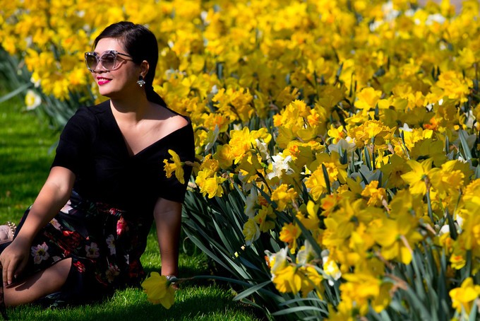 Vườn hoa tulip đẹp như tranh vẽ ở Hà Lan ảnh 5