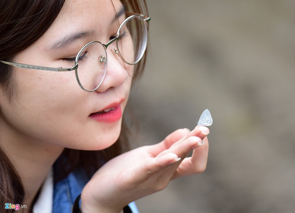 Dân 'phượt' về vườn quốc gia săn bướm ngày nghỉ lễ ảnh 7