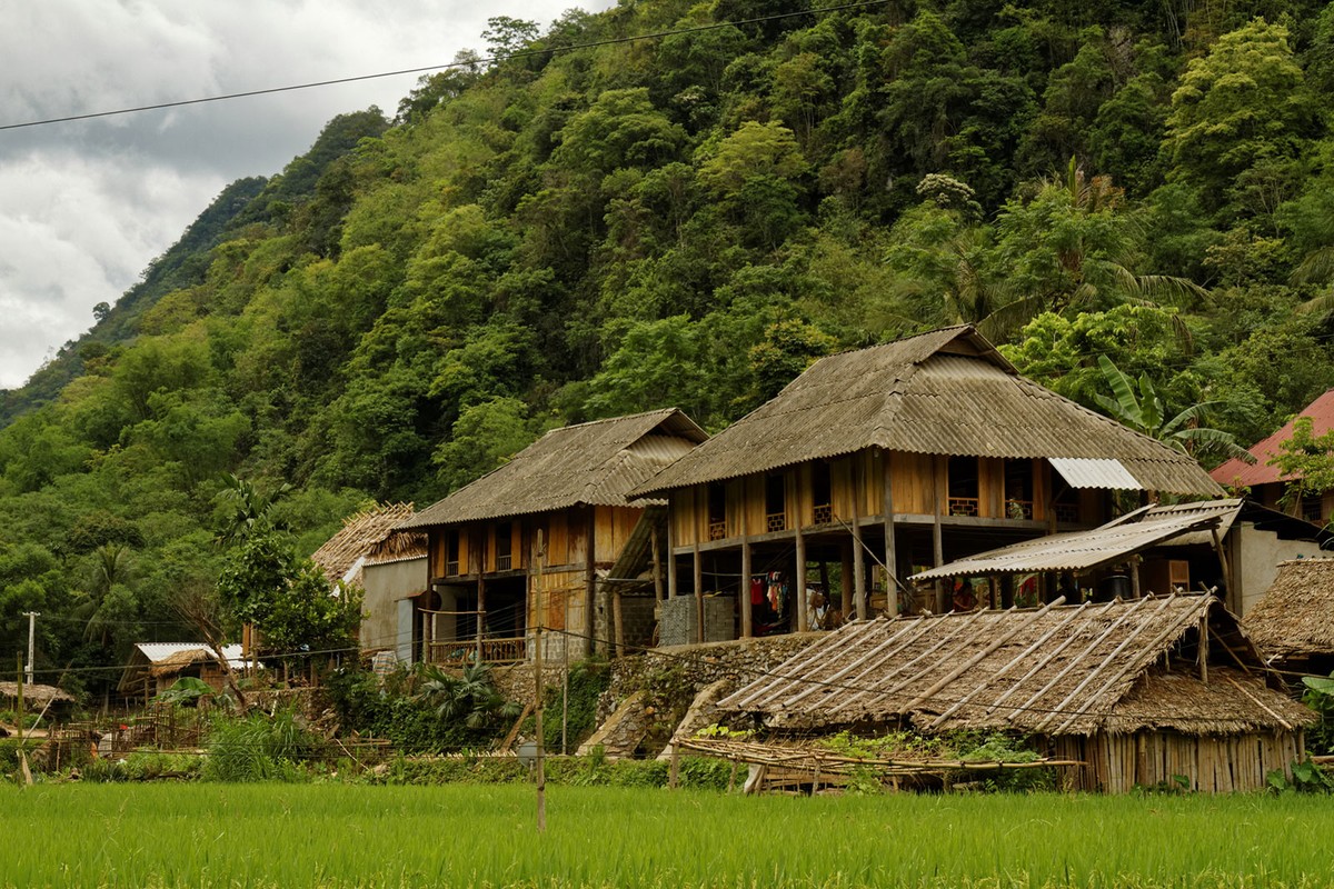 Pù Luông - Mùa lúa chín ảnh 12