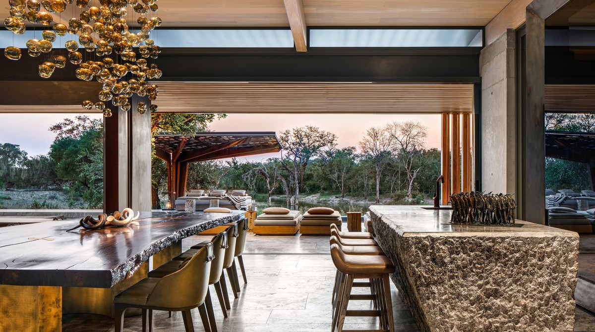Cheetah Plains: Vẻ đẹp của sự đối lập ảnh 4