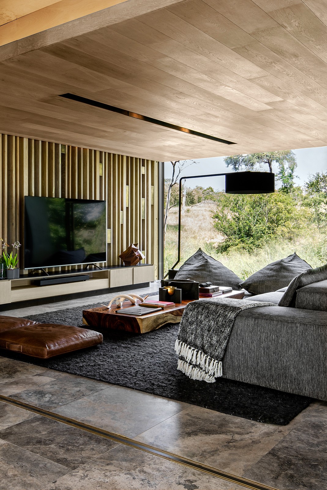 Cheetah Plains: Vẻ đẹp của sự đối lập ảnh 5