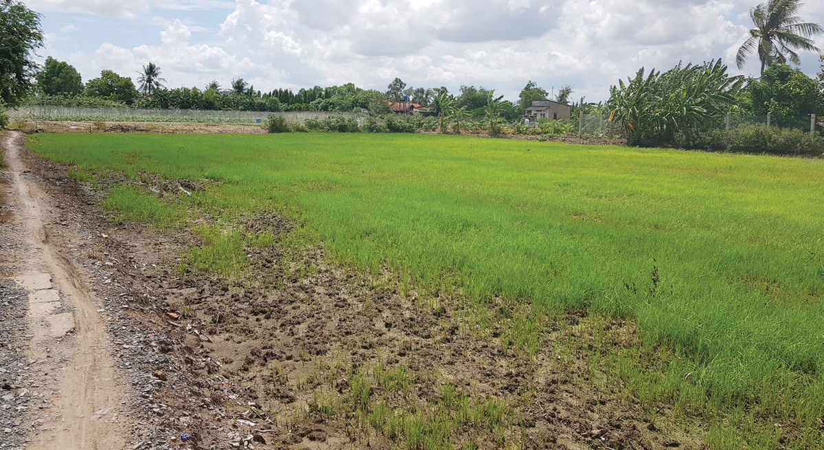Long An: Dự án bị thu hồi, chính quyền giúp chủ Kl99ok phiên bản mới đòi tiền đặt cọc ảnh 1