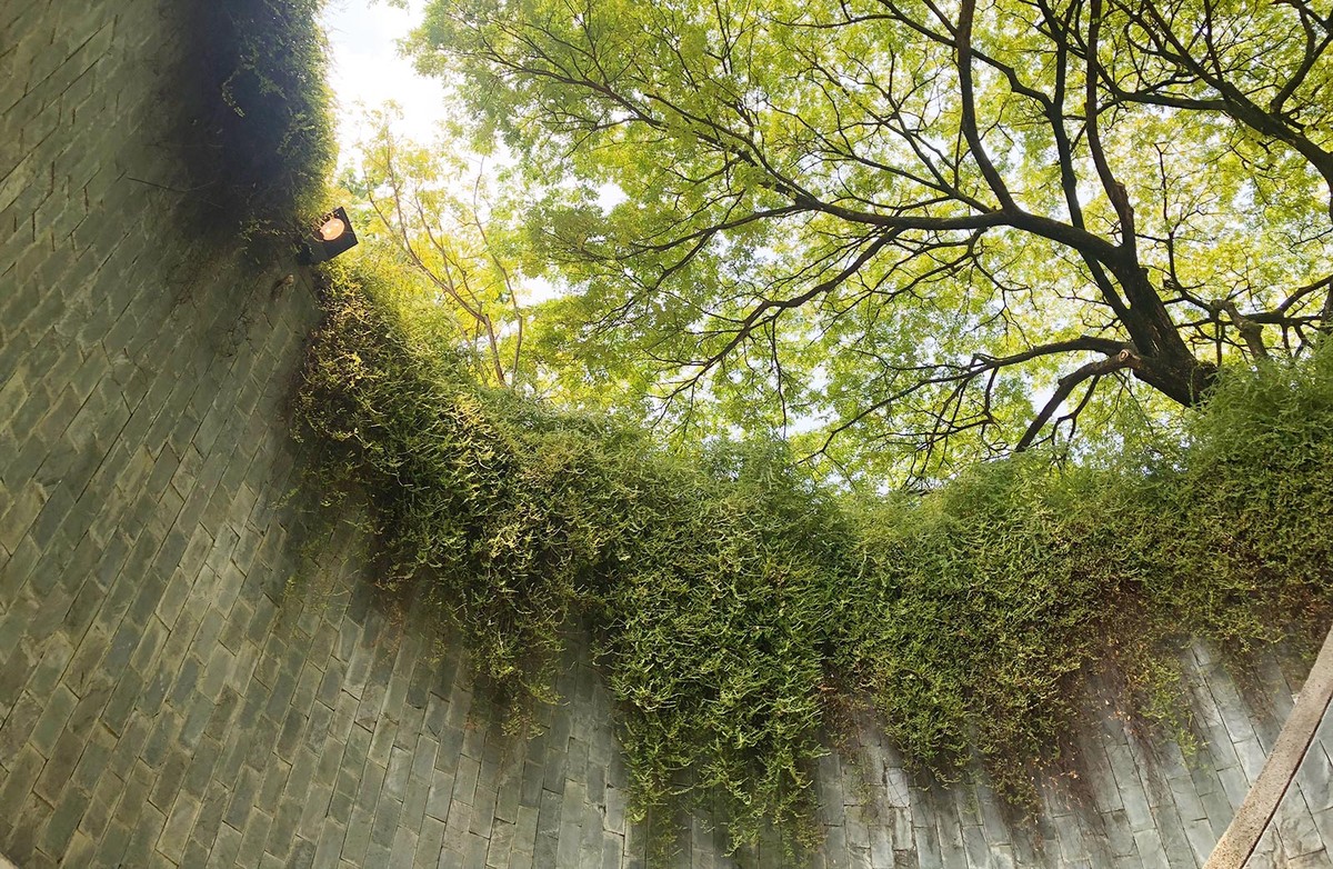 Fort Canning, lá phổi xanh của Singapore ảnh 5