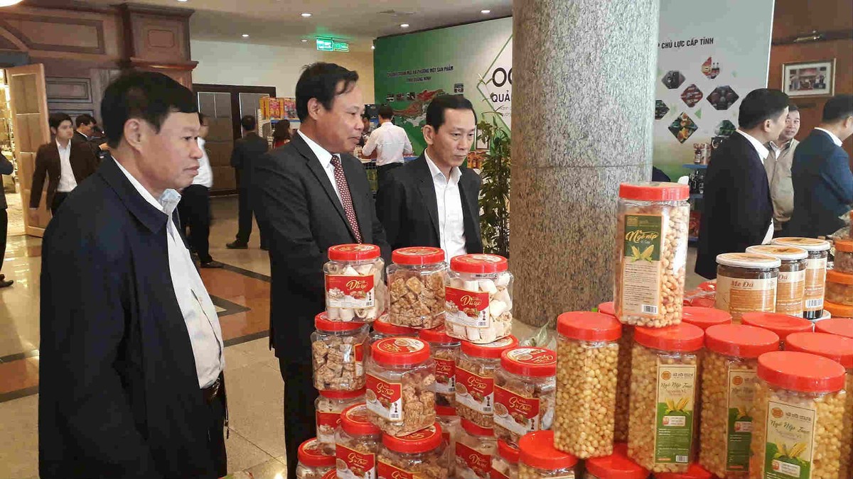 Không để chính sách là “một loại quả đẹp nhưng không ăn được” ảnh 3