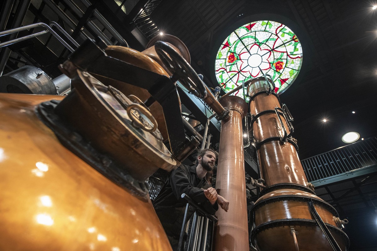 Nhà máy Hendrick’s Gin: Ngây ngất men say ảnh 5