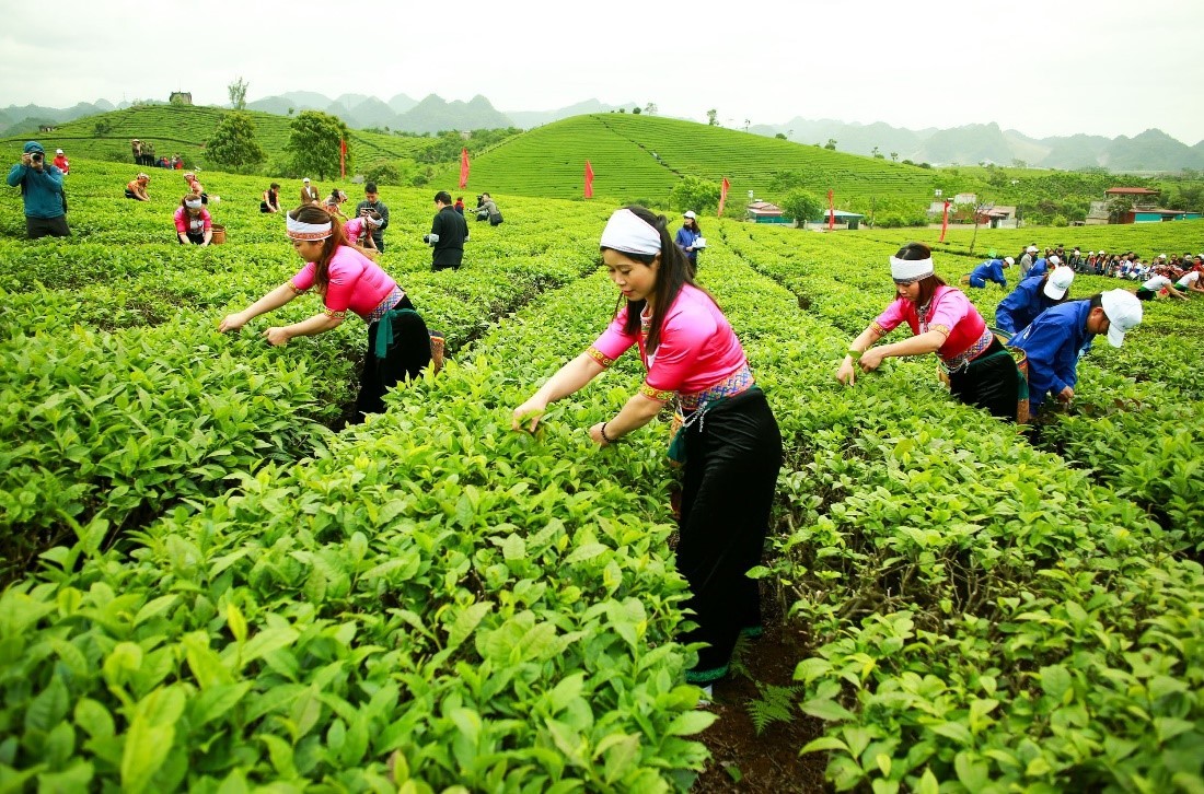 Vinamilk công bố Nghị quyết HĐQT mua trên 51% GTNFoods ảnh 1