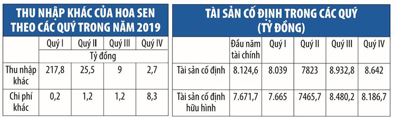 Kl994 game bài casino hấp dẫn Hoa Sen (HSG) và ẩn số thu nhập khác ảnh 1
