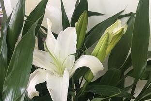 Tìm điểm đến cho dòng tiền Kl99ok phiên bản mới địa ốc ảnh 5