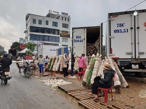 Nhộn nhịp Chợ hoa Lũng những ngày giáp Tết ảnh 2
