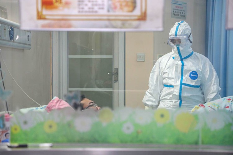 Nữ bác sĩ đầu tiên phát hiện virus corona ảnh 1