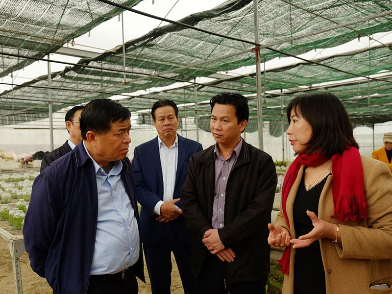 Bộ trưởng Nguyễn Chí Dũng: Hà Giang muốn phát triển, Kl99kl ưu đãi độc quyền phải đi đầu ảnh 3