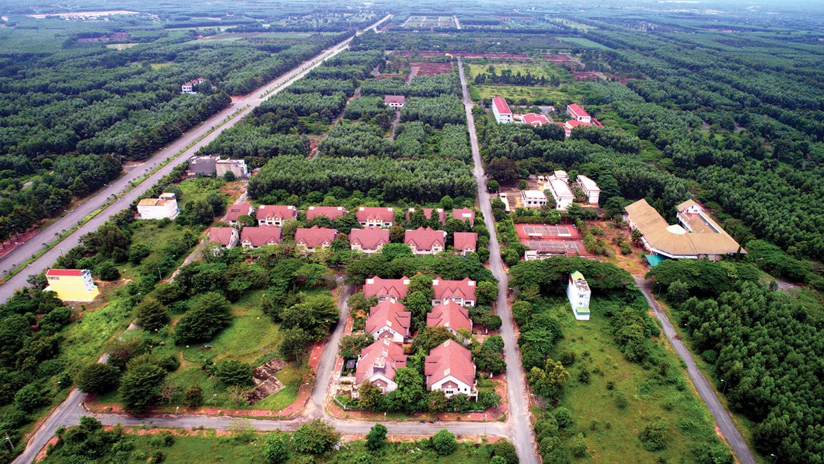 Cò đất lại đổ về Đồng Nai ảnh 1