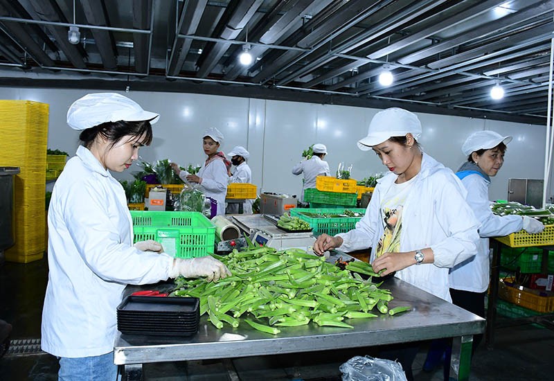 Sở Tài nguyên và Môi trường Bình Dương “sáng tác” cớ, Vinamit liêu xiêu ảnh 2