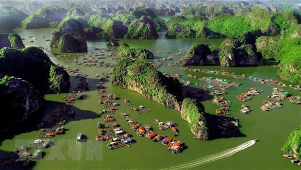 Quần đảo Cát bà góc nhìn từ trên cao. Ảnh: TTXVN
