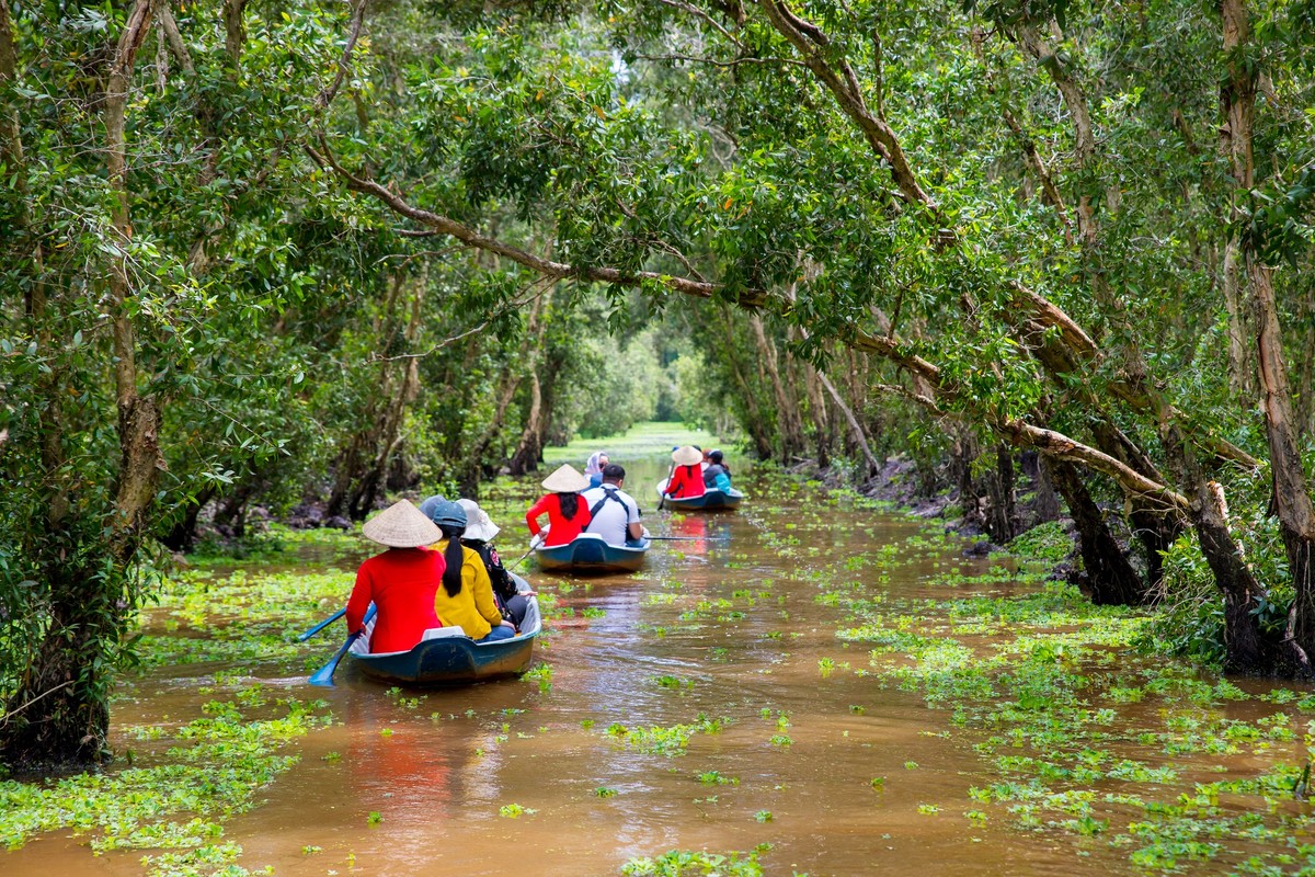 Xuồng ba lá xuôi tay chèo, nhẹ nhàng rẽ nước lướt trên thảm bèo xanh mướt…