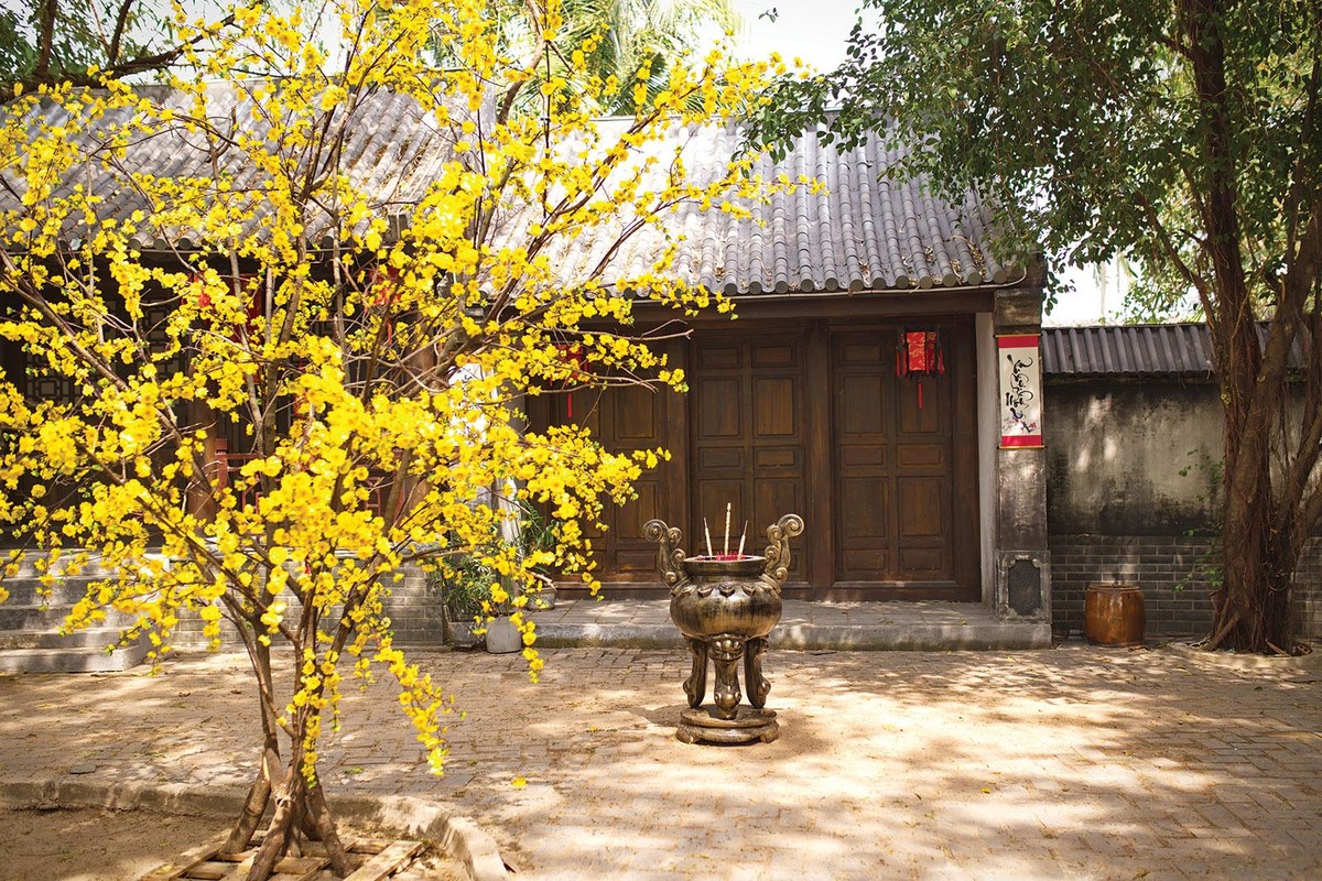 Ảnh Shuttersotck